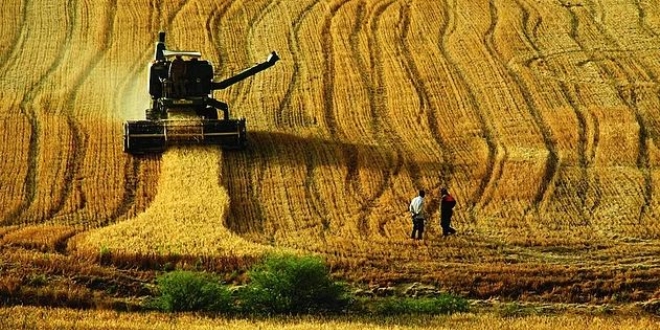 Trkiye'de tarm arazileri yok oluyor
