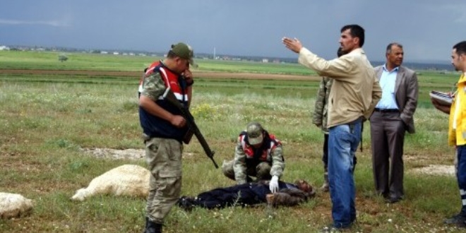 �obanlar�n �zerine y�ld�r�m d��t�: 1 �l�, 1 yaral�