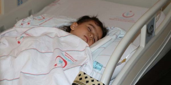 D�rd�nc� kattan d��t�, hayatta kald�!