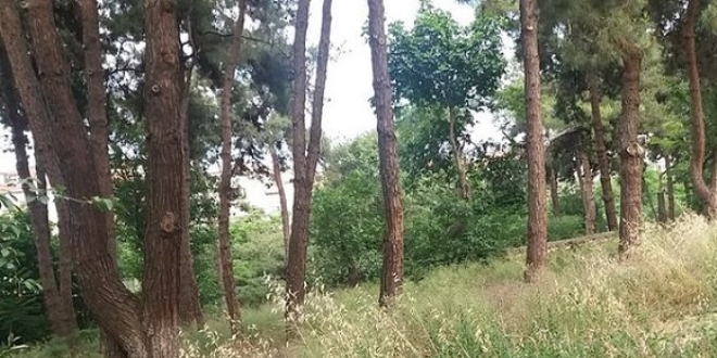 Hastane bahçesine cenin gömmüşler