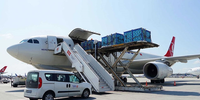 T�rk kiraz� art�k u�akla ta��nacak