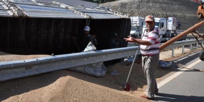 TIR devrildi, 25 ton buğday yola saçıldı