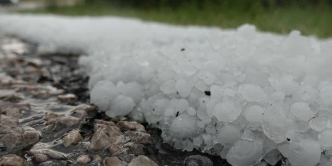 G�renler �oke oldu! Ceviz b�y�kl���nde ya�d�