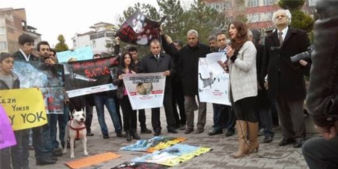 Sakarya'da katledilen k�pek i�in hayvanseverlerden eylem