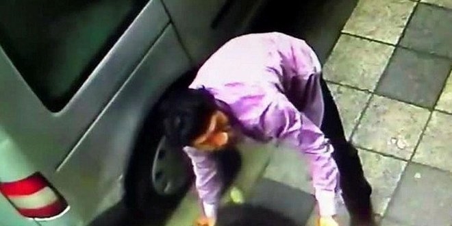 Kadıköy'de köpeğe şiddet uygulayan kişi gözaltına alındı