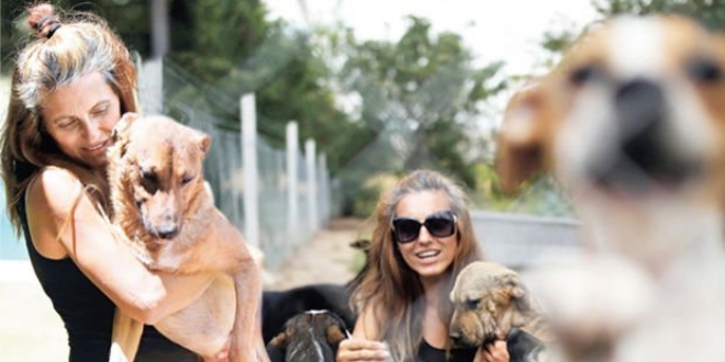 Öğretmen Gökçen Yıldız bacakları kesilen köpeği hayata döndürdü