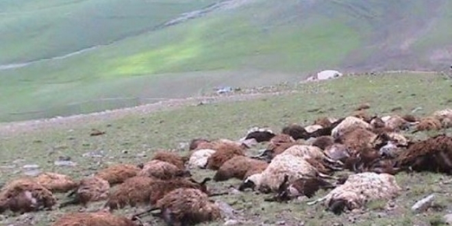 Mersin'de yldrm isabet eden 32 koyun telef oldu