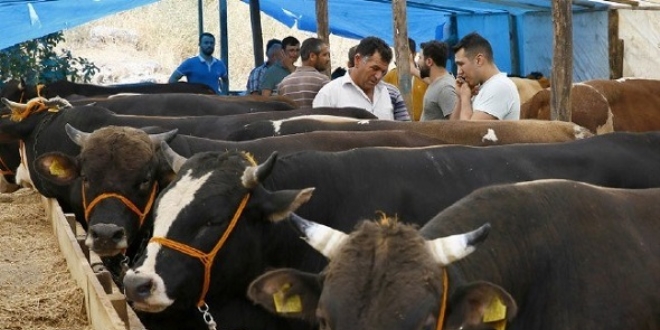 Kurbanl�klar cepten sorgulanabilecek