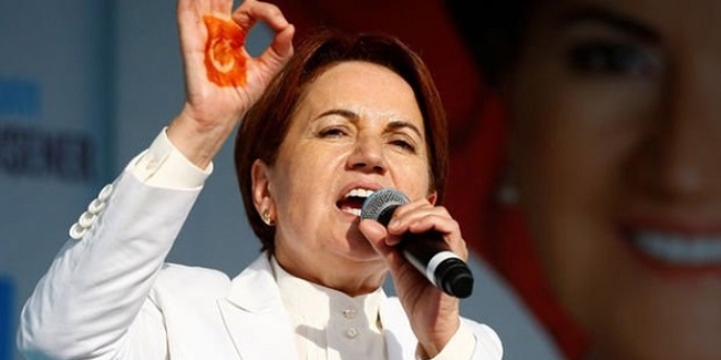 Akşener'in yabancı misafirlerinden Kars - İsveç kıyası!