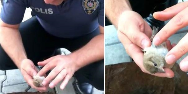 Polis memurundan kuşa kalp masajı