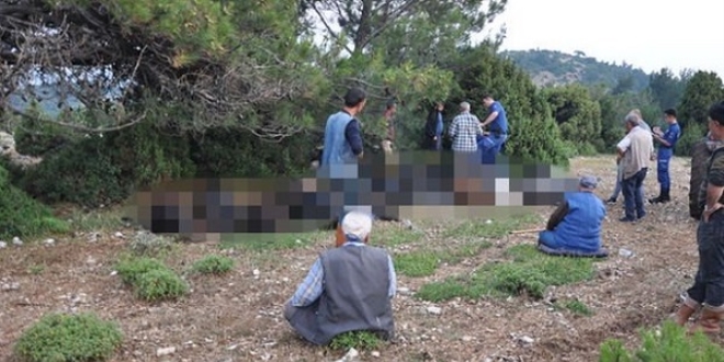 Ölen keçilerine sarılarak ağladı