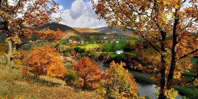Ordu'daki Argan Yaylası turizme kazandırılıyor
