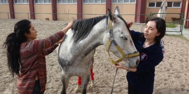 �niversitelinin yan� s�ra isteyene binicilik dersi