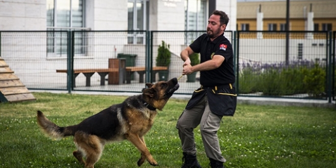 'S�per burunlar' ka�ak��lara ge�it vermedi