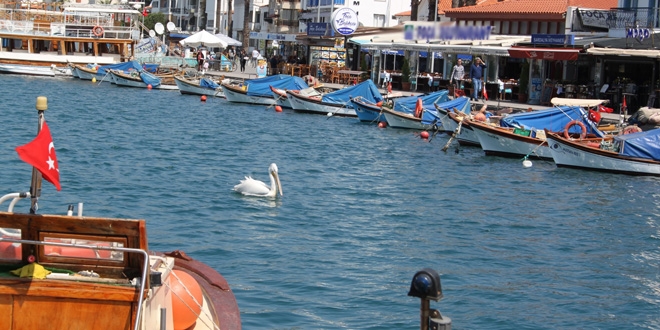 Eski Foça'da görülmesi gereken yerler