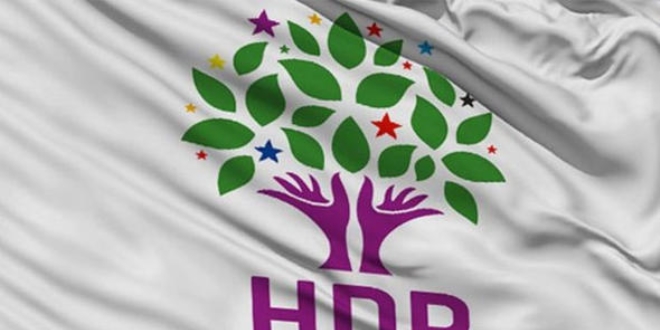 HDP'nin ilk defa vekil kard iller