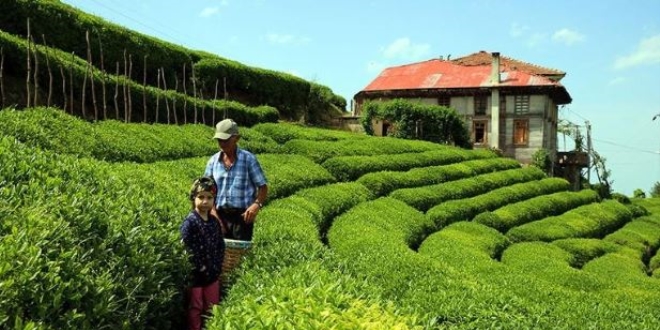 �AYKUR'dan �reticiye 'acele etmeyin' uyar�s�