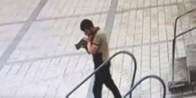 Üsküdar'da kediyi denize atan kişi yakalandı