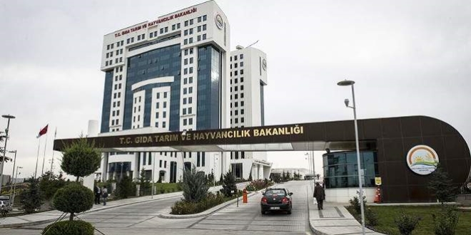 S���r Cinsi Hayvanlar�n Tan�mlanmas�, Tescili ve �zlenmesi Y�netmeli�inde De�i�iklik