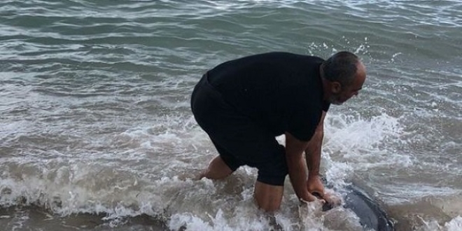 Hayvansever i� adam� karaya vuran yunuslar� b�yle kurtard�