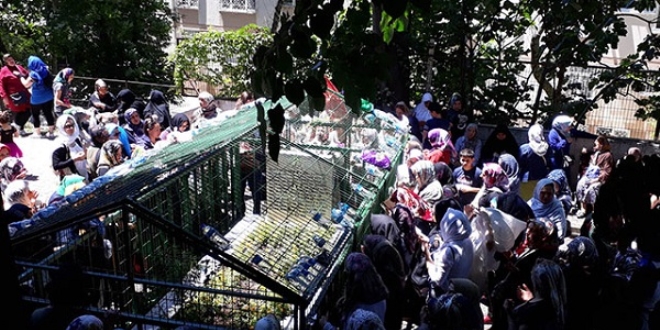 S�nav �ncesi bu t�rbeye ak�n ettiler