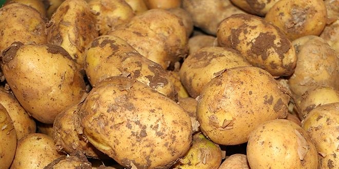 Patateste retici fiyat de geti