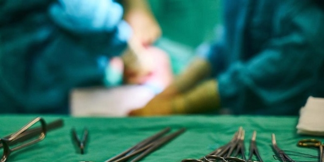 Organ naklinin profesyonelleri Türkiye'de buluşacak