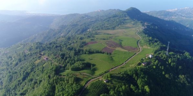 Yer belirlendi! Trabzon'a OSB kurulacak