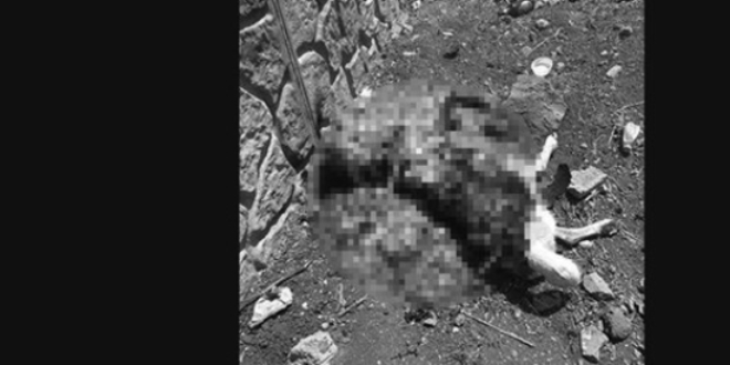 Vahetle ilgili gzaltna alnd, kendini byle savundu