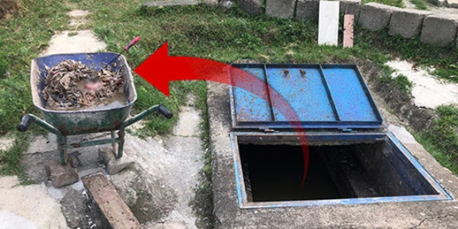 Tek kelimeyle vah�et! Korkun� olay