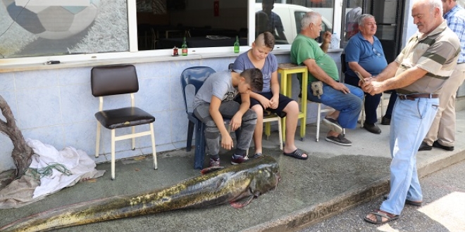 Aldıkları balığı 3 kişi zor taşıdı