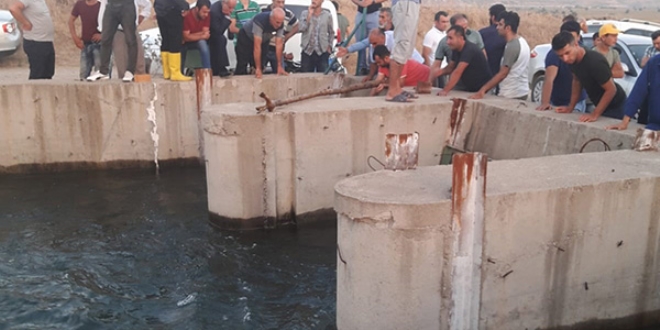 Akıntıya kapılan 2 kardeş kayboldu