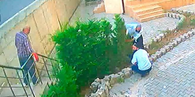 Cemaat namazı bitirmeden 31 ağacı kesip, götürdüler