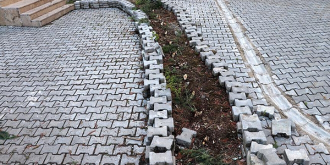 Cemaat namazdayken 31 ağacı kesen 3 şüpheli yakalandı