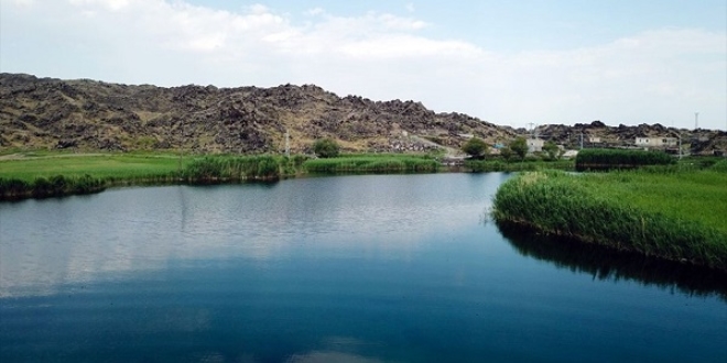 'T�rkiye'nin �at�s�' A�r� Da�� eteklerinde do�al akvaryum