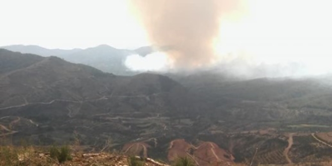Muğla ve İzmir'de yangın paniği
