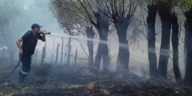 Bingöl'de anız yangını ağaçlara sıçradı