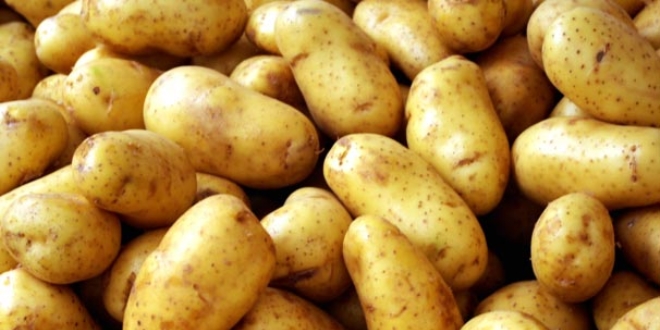 Nide'de patates ekimi azald