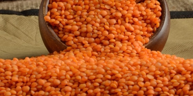 Ulusal Baklagil Konseyi: K�rm�z� mercimek azalacak, nohut artacak