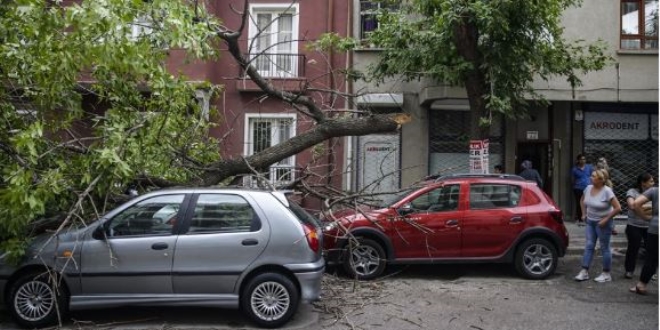 Ankara'da �iddetli r�zgar a�a�lar� devirdi