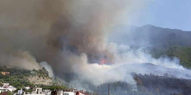 Hatay'daki orman yangn 5 eve zarar verdi