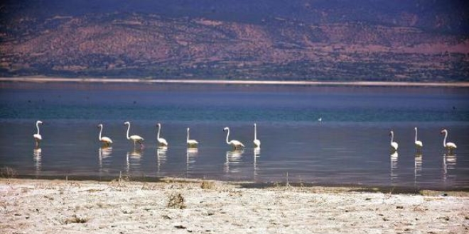 Burdur Gölü'nün son konukları flamingolar