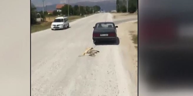 Köpeği otomobile bağlayarak sürükleyen kişi gözaltına alındı