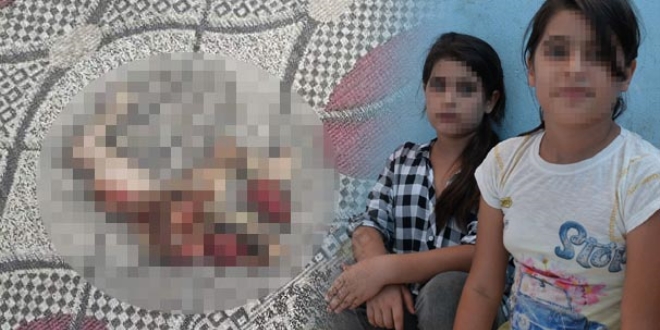 'Sizi de böyle yaparım' diyerek kediyi parçaladı