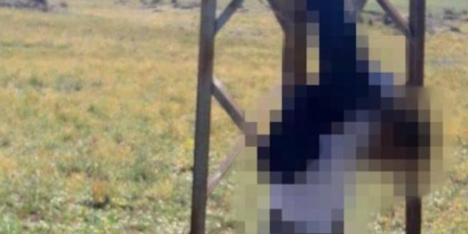 Ağrı'da, Bengi'yi katleden PKK'lı teröristler öldürüldü