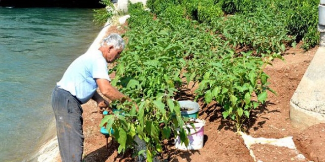 Adana'n�n g�be�indeki sulama kanal�n� bostana d�n��t�rd�