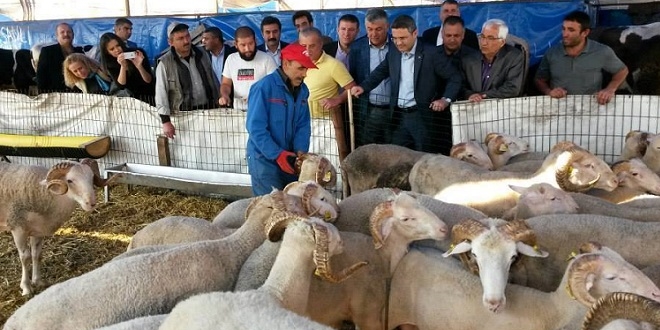 Vatandaşlara 'Kurban' uyarısı