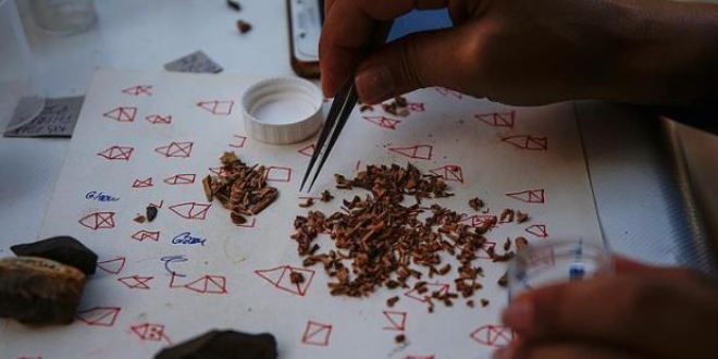 500 bin yıllık mağaradan 'cımbız'la tarih ayıklıyorlar