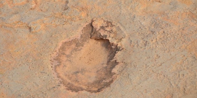 �ngiltere'de 140 milyon y�ll�k dinozor ayak izleri bulundu