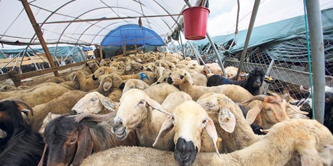 'Kredi kartı'yla alınan kurbanda faize dikkat